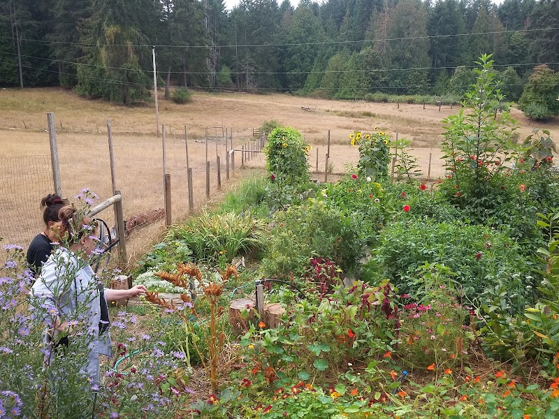North End Farm 3