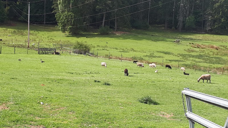 North End Farm 4