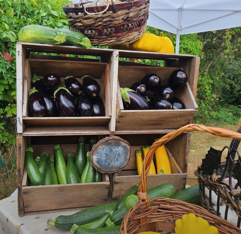 North Saanich Farm Market