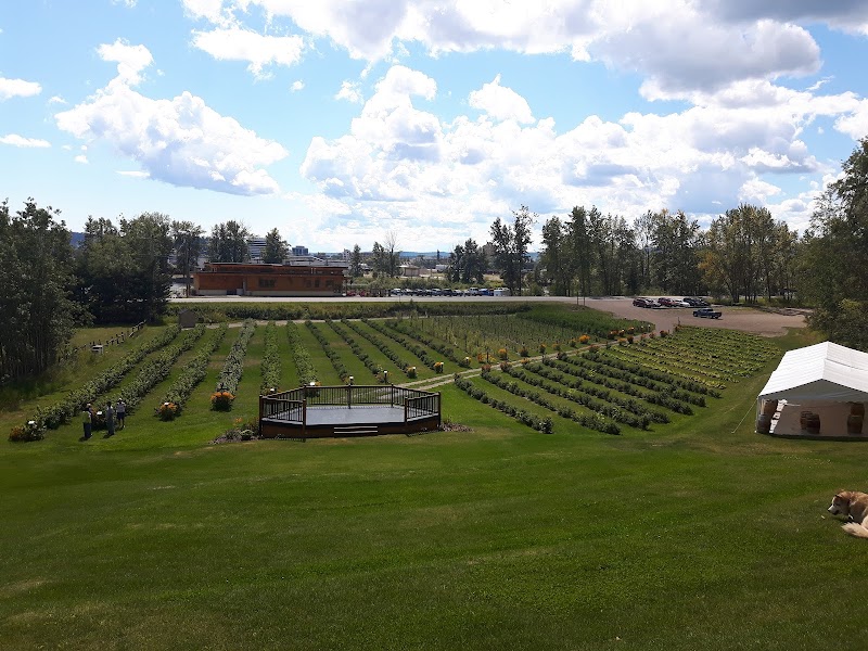 Northern Lights Estate Winery 2