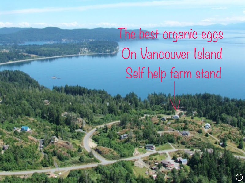 Oceanview Hobby Farm