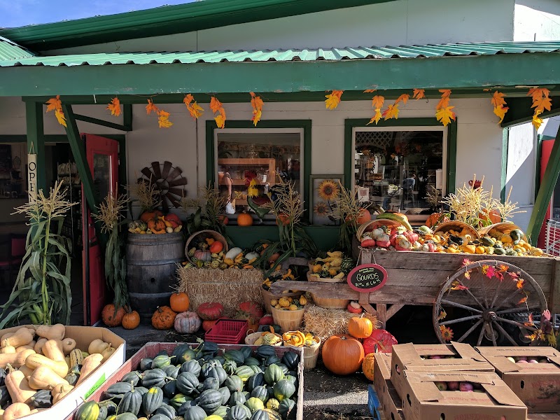 Off The Rails Farm Market