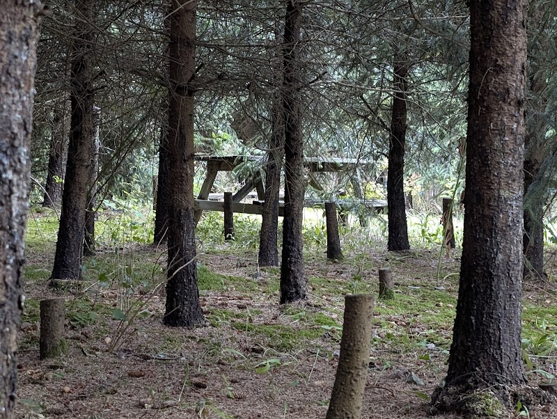 Orchard Garden 3