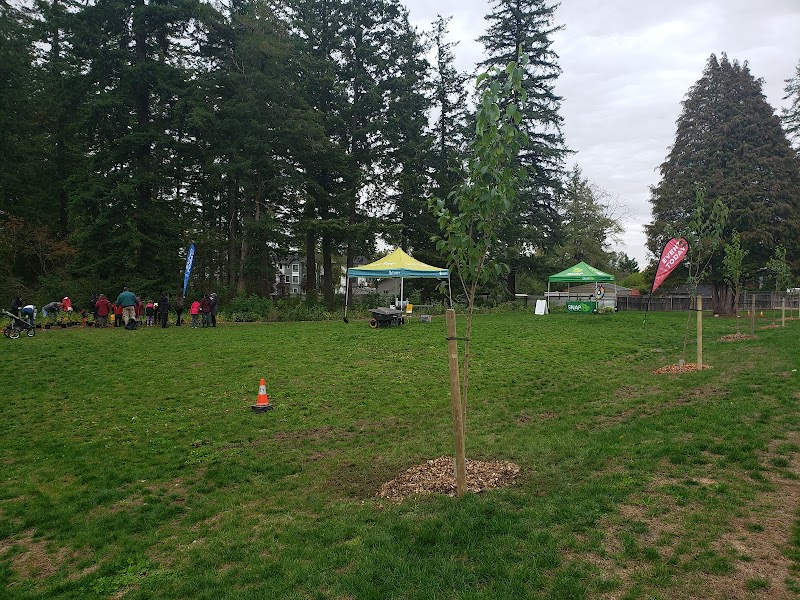 Orchard Grove Park 4