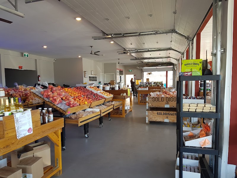 Osoyoos Fruit Basket 3