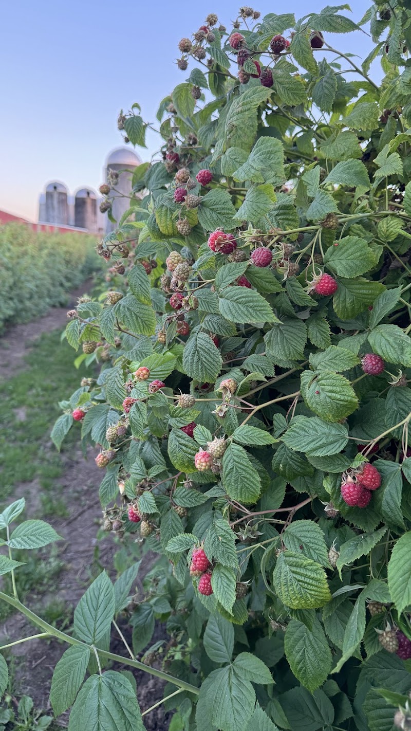 Pangborn Farms 5