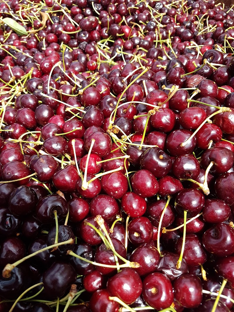 Panorama Orchards 2