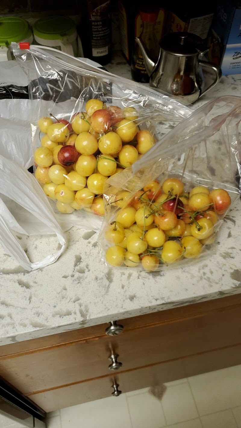 Panorama Orchards 4
