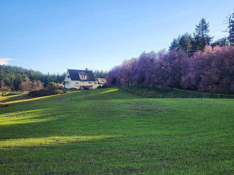 Parry Bay Sheep Farm