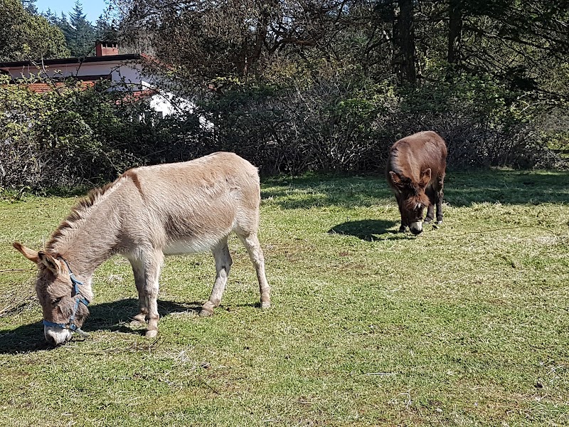 Parry Bay Sheep Farm 2