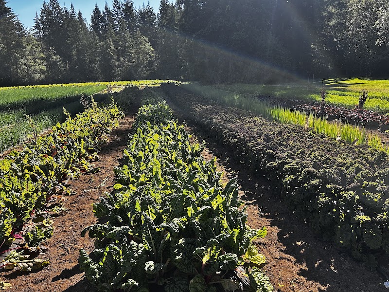 Pattison Farms 3