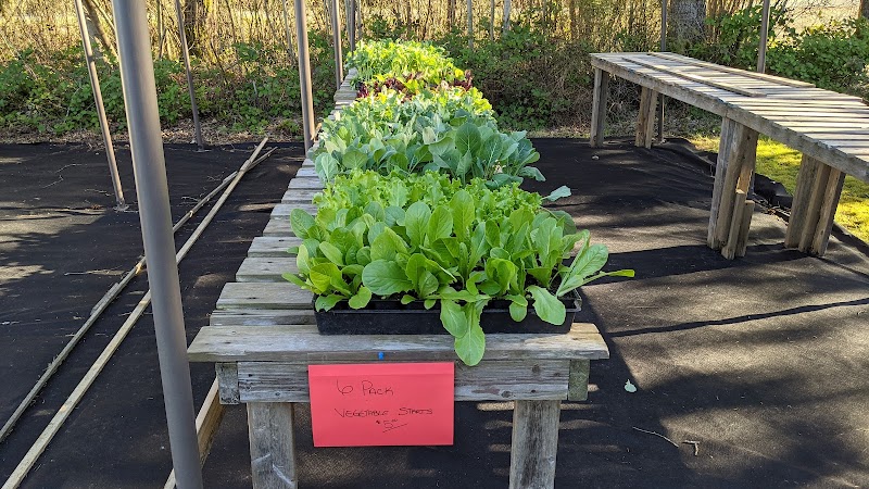 Pattison Farms 4