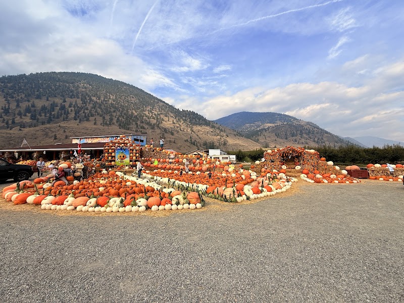 Peach King Orchards 2