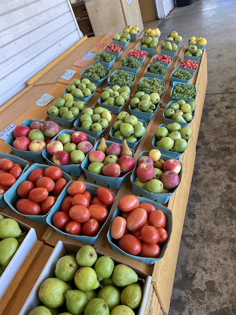 Peach King Orchards 5