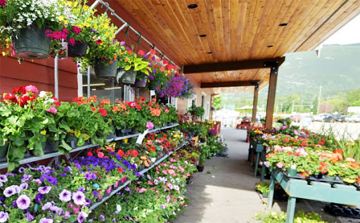 Pedro's Farm Market 2