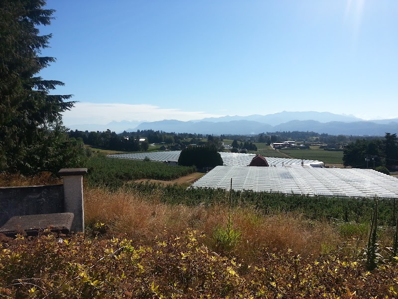 Peppertree Farms Ltd