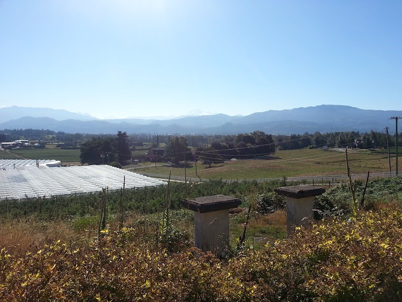 Peppertree Farms Ltd 2