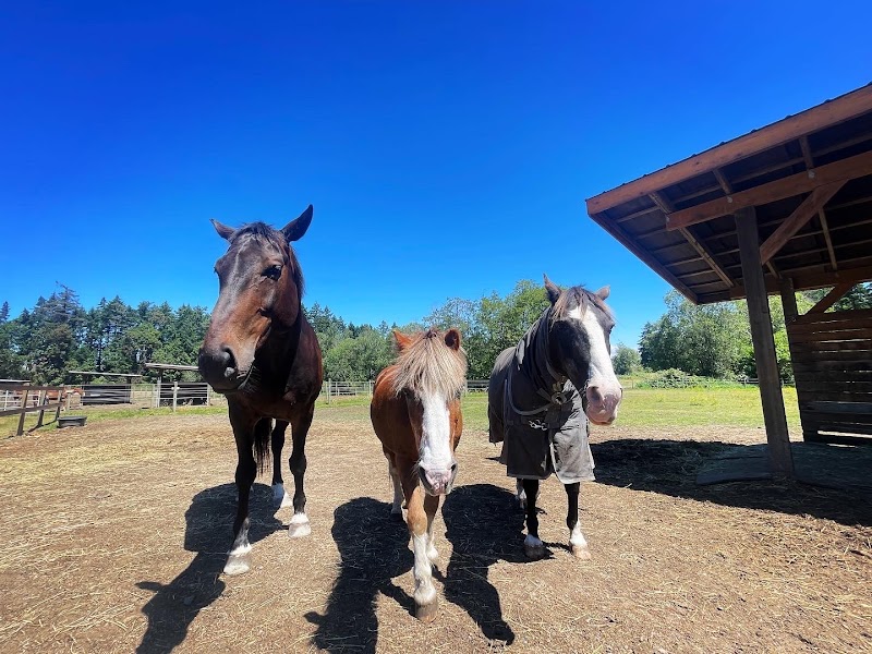 Pyramid Stables