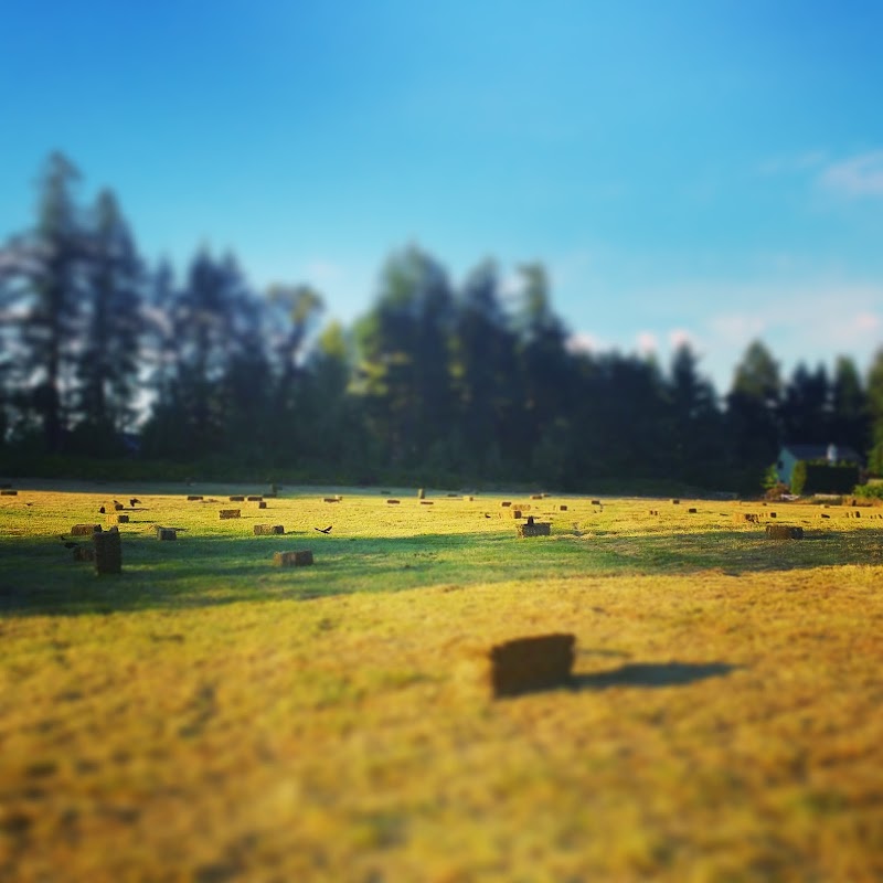 Pyramid Stables 2