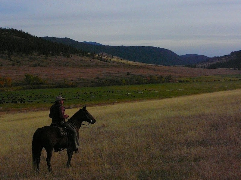 Rangeland Meats (Devick's Ranch) 2