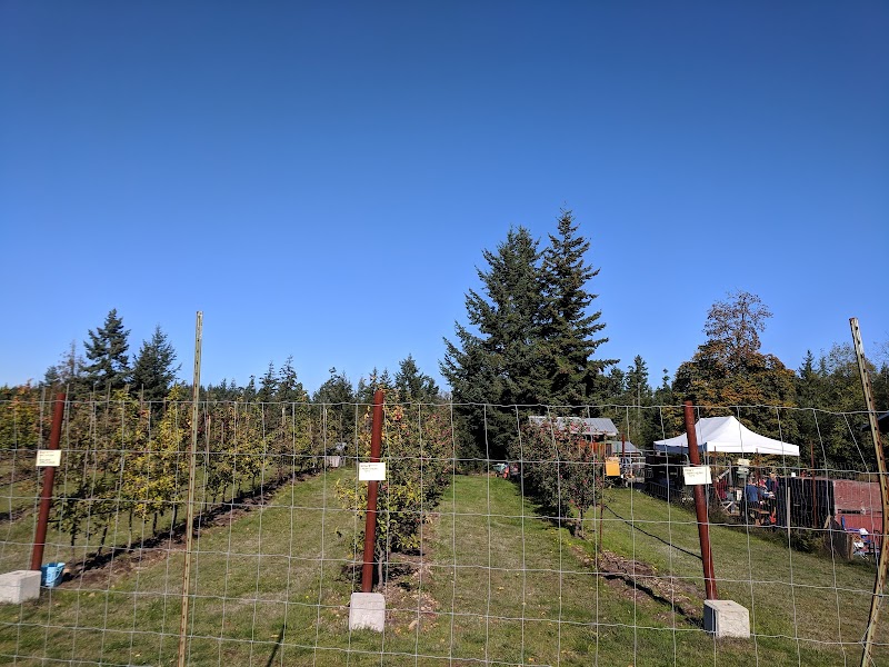 RavenSkill Orchards - Home of Gabbie's Cider 3