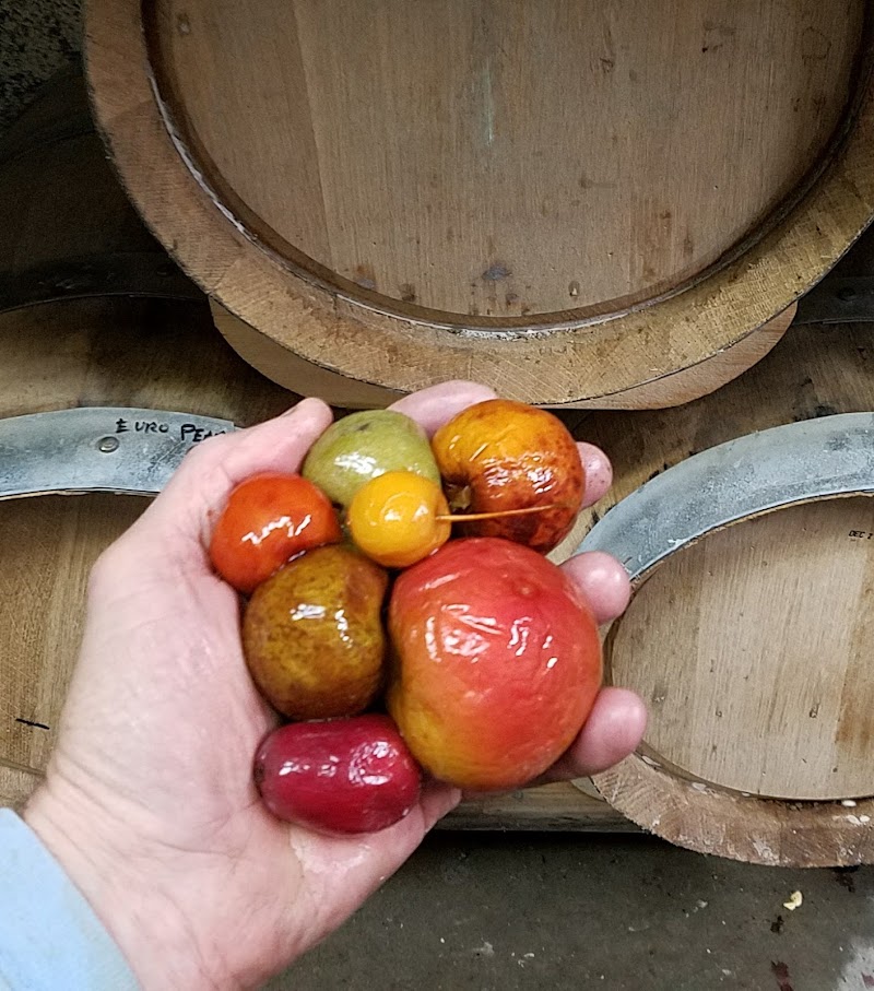 Renaissance Orchards