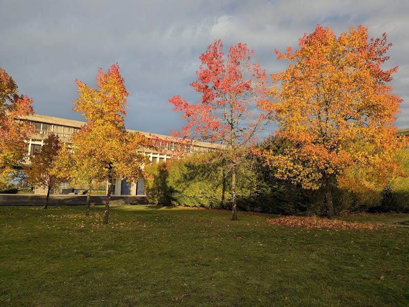 Research Ponds 3