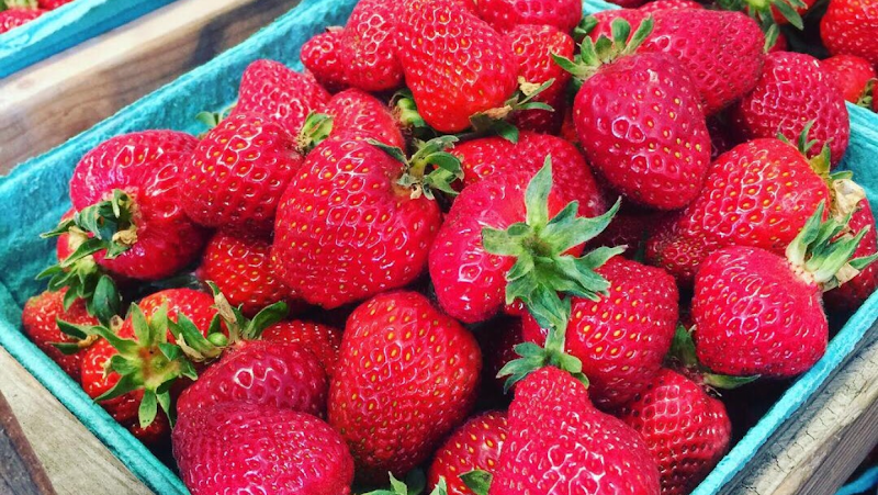 Richmond Country Farms Market 2