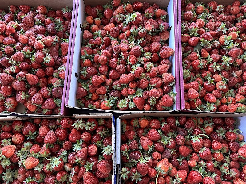 Road 7 Country Fruit Stand 5