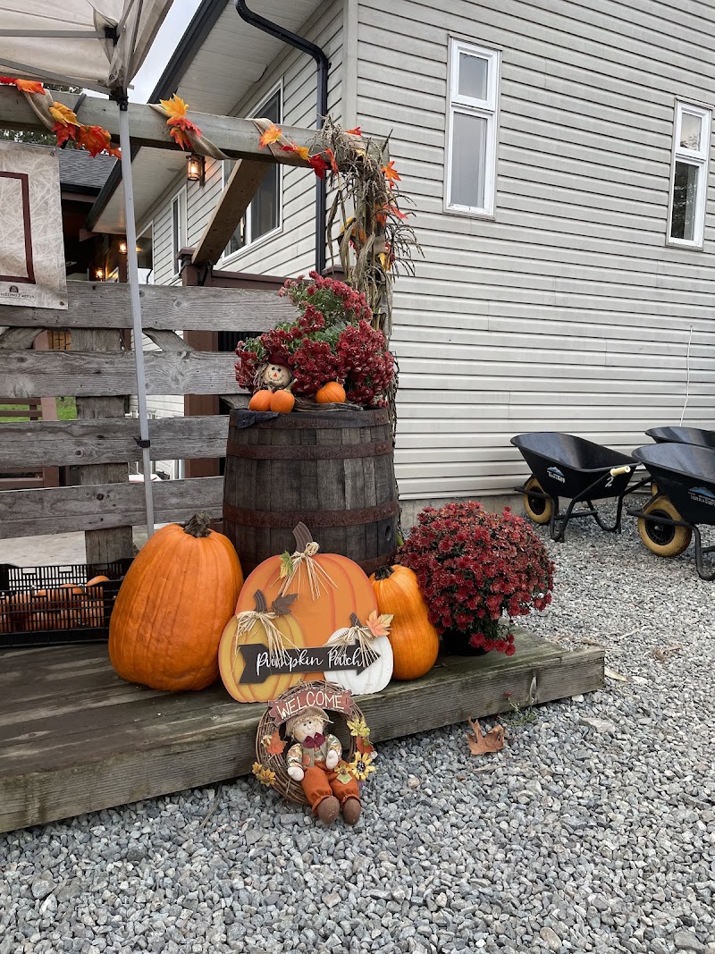 Rondriso Farms General Store and Pumpkin Patch 3