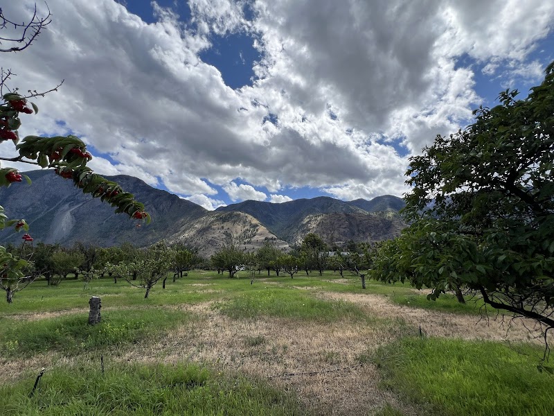Roscoe Orchards 4