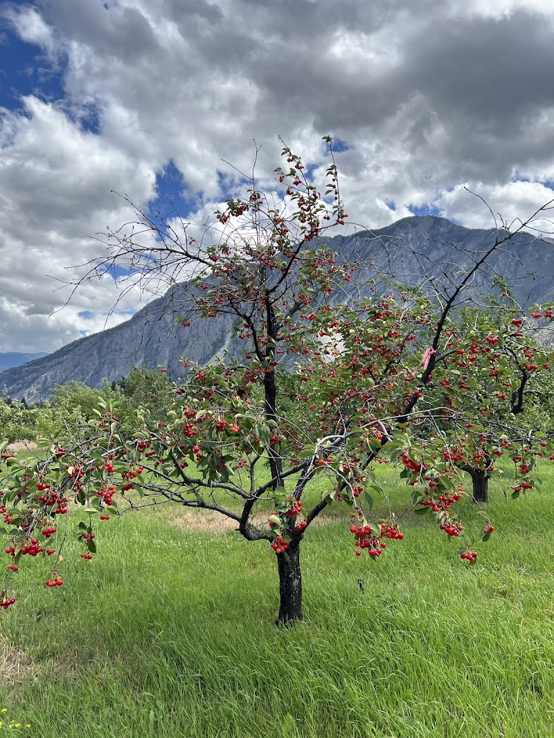 Roscoe Orchards 5