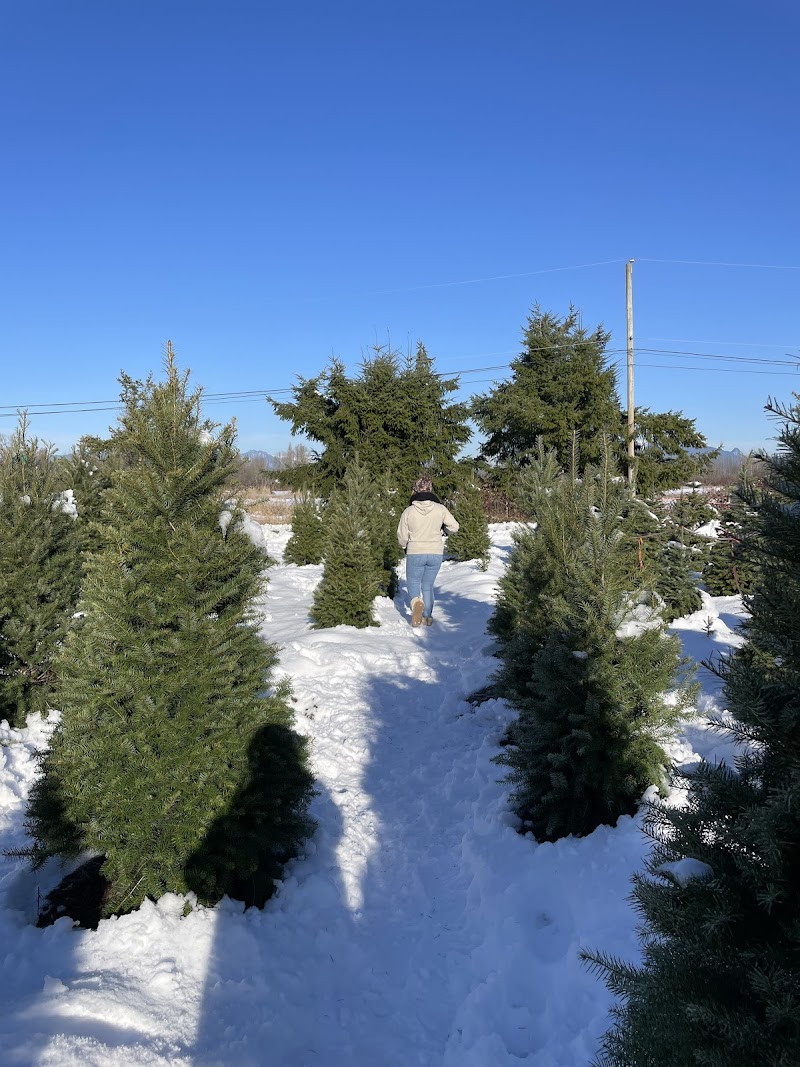 S. Balducci Blueberry Farm