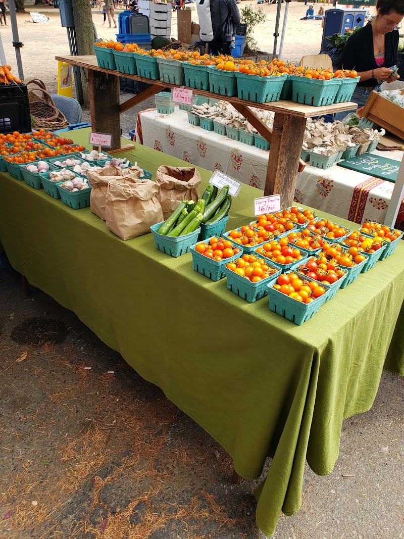 Salt Spring Saturday Market 2