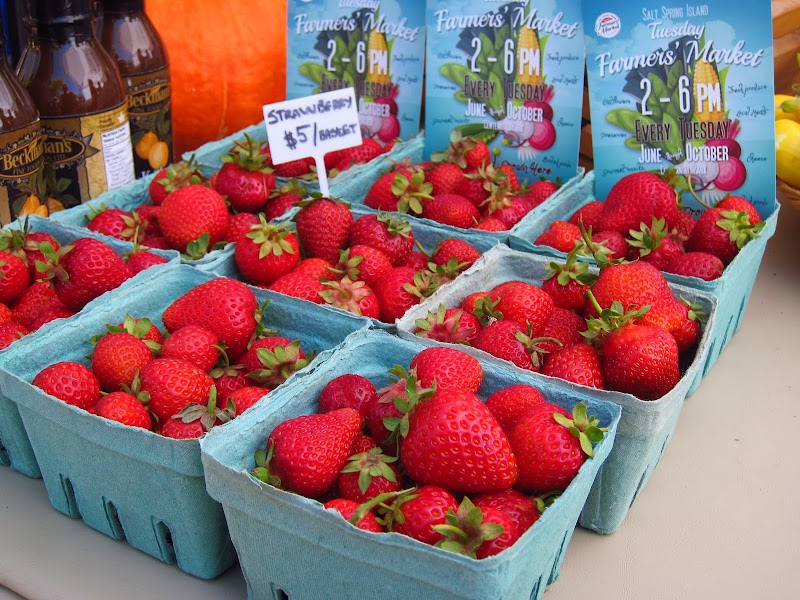 Salt Spring Tuesday Farmers’ Market 5