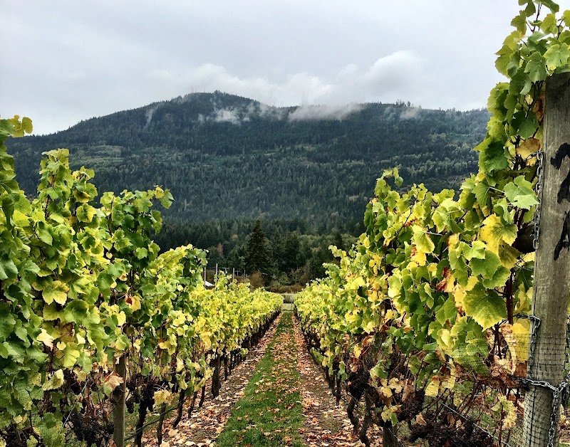 Salt Spring Vineyards 3
