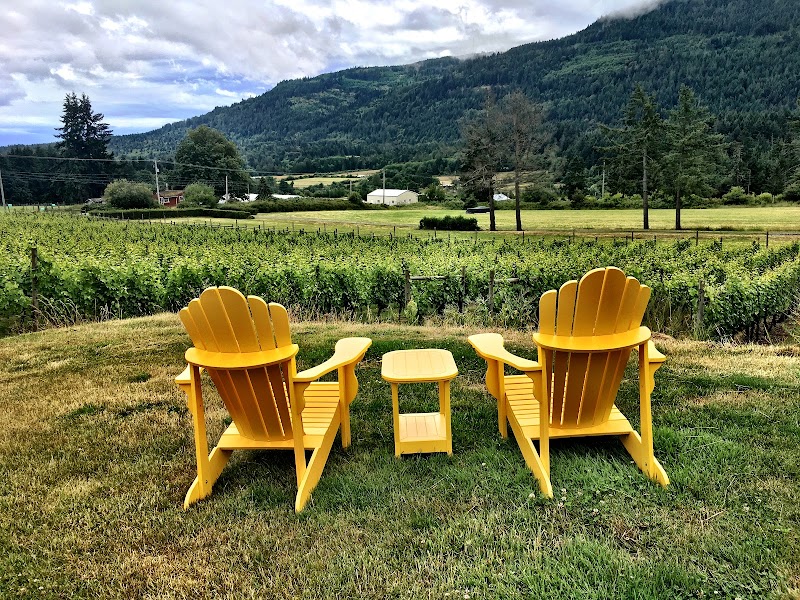 Salt Spring Vineyards 4