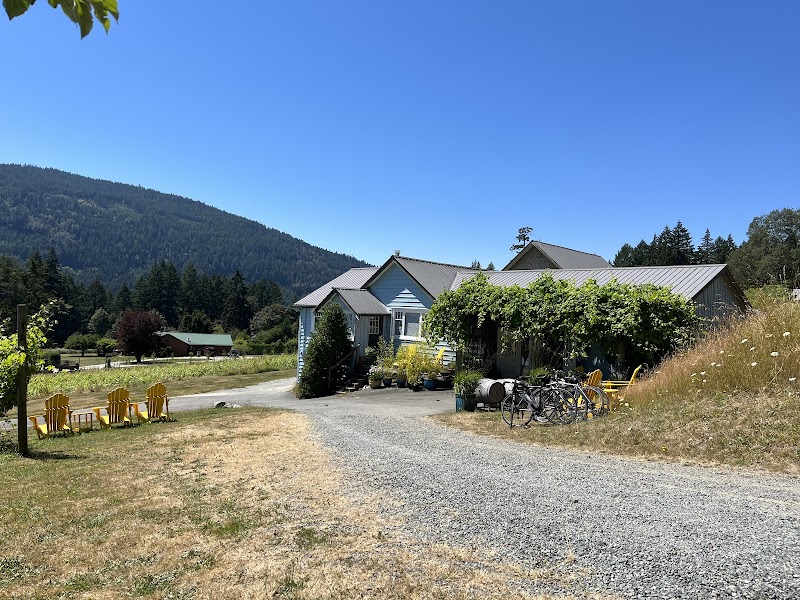 Salt Spring Vineyards 5