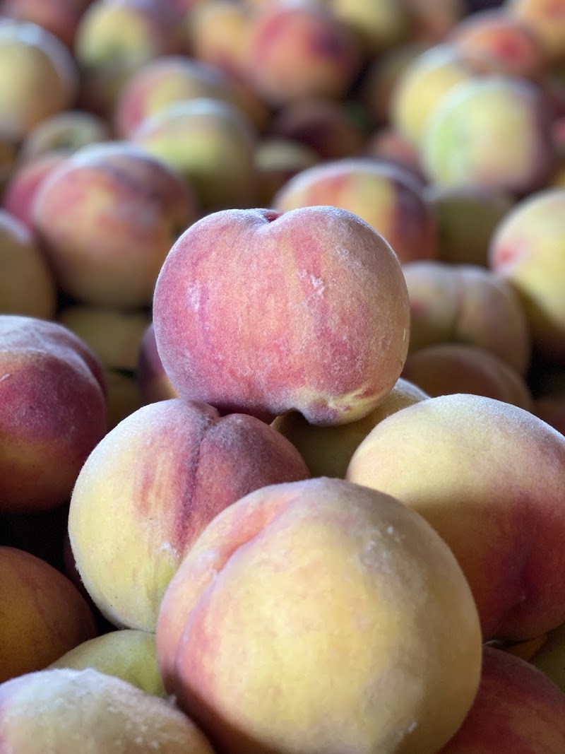 Sandhu Fruit Farm 2