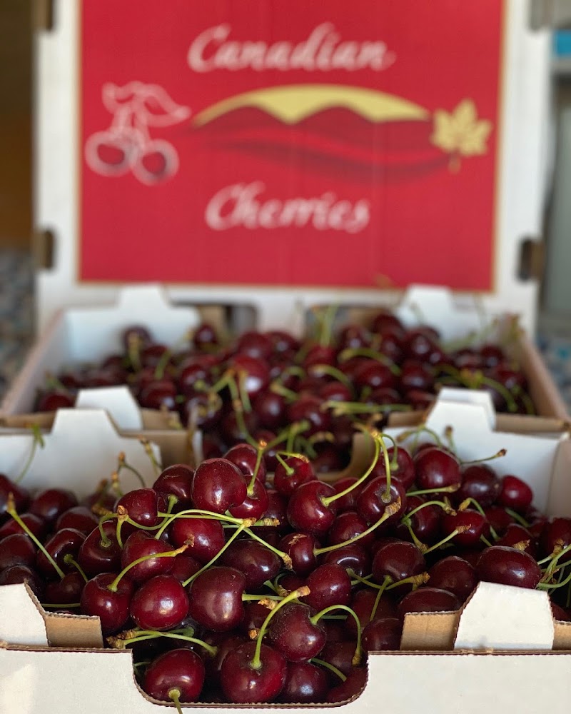 Sandhu Fruit Farm 5