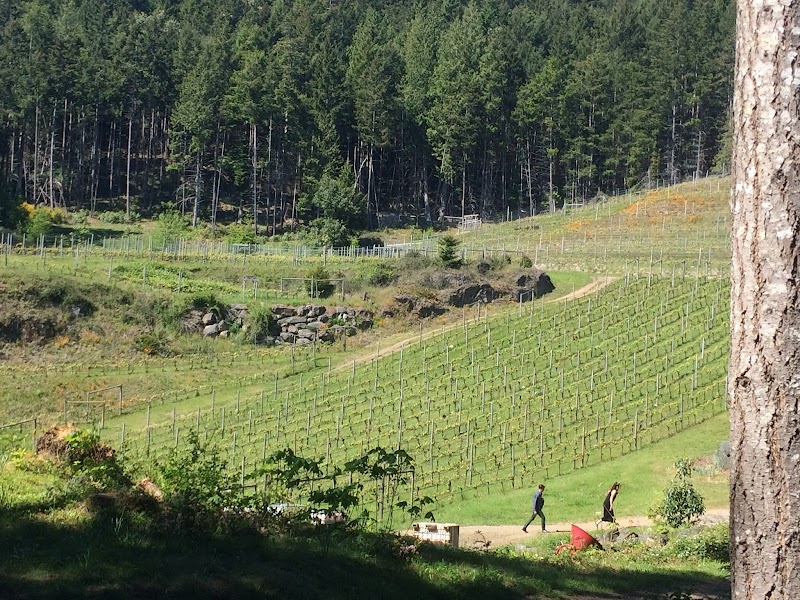 Seastar Estate Farm and Vineyard 5