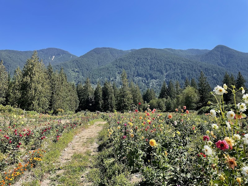 Shangrila Farm