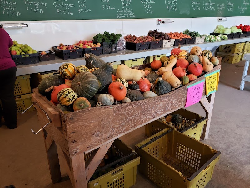 Sieffert's Farm Market 5