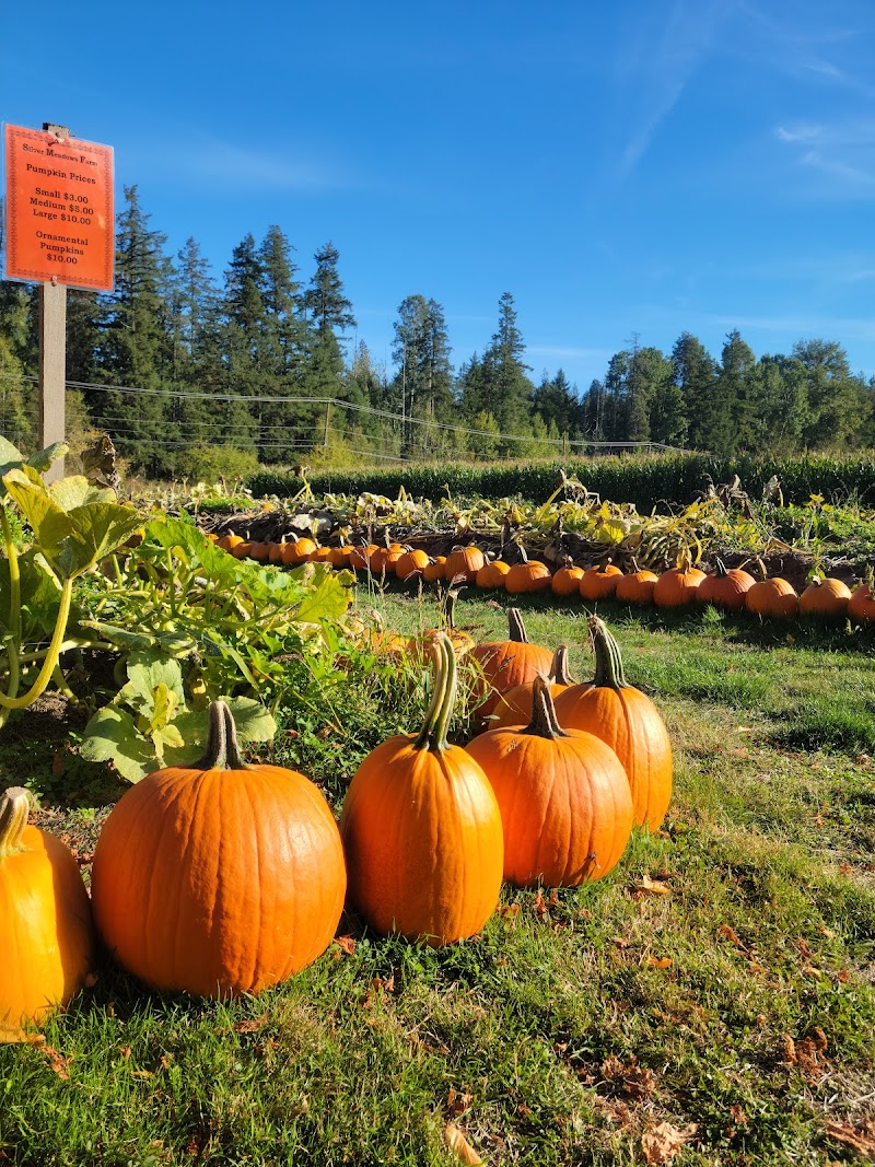 Silver Meadows Farm Market