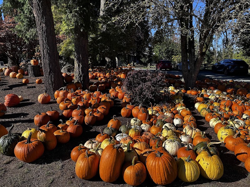 Silver Meadows Farm Market 2