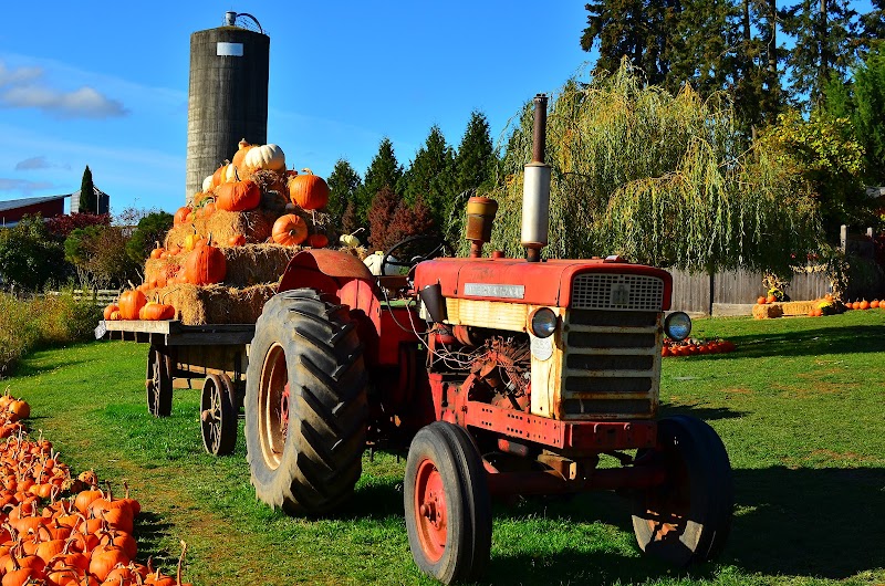 Silver Meadows Farm Market 5
