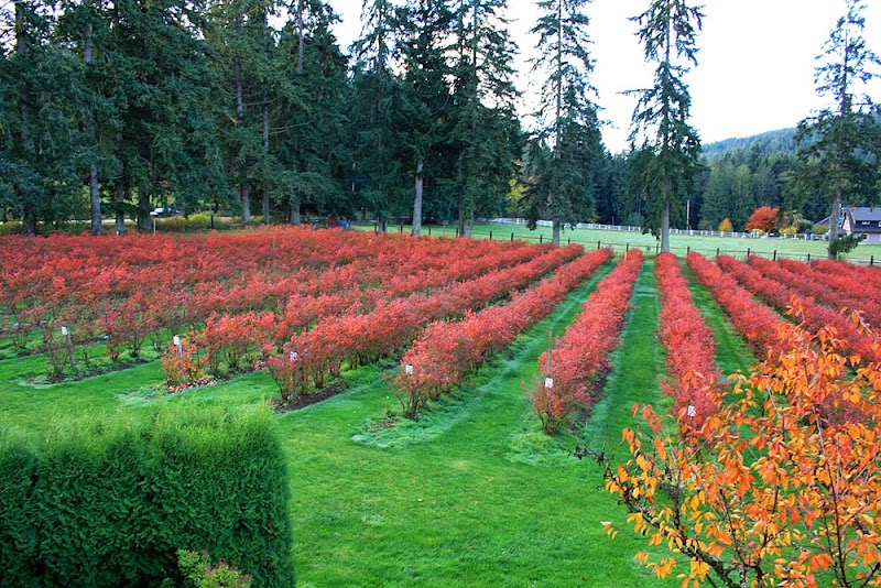 Silverside Farm & Winery