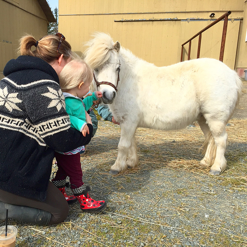 Silverside Farm & Winery 5