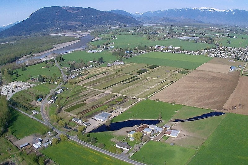 Singh Farms