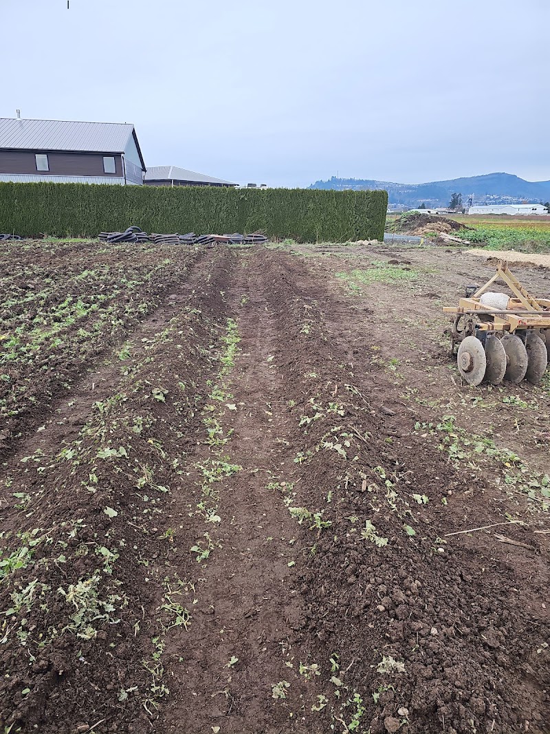 Singh Farms 4